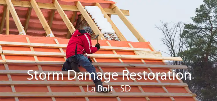 Storm Damage Restoration La Bolt - SD