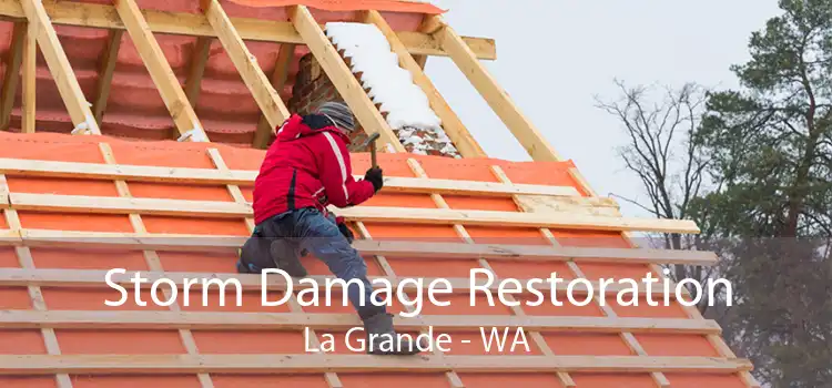 Storm Damage Restoration La Grande - WA