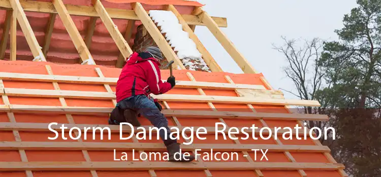 Storm Damage Restoration La Loma de Falcon - TX