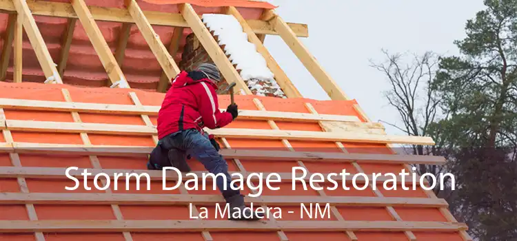 Storm Damage Restoration La Madera - NM