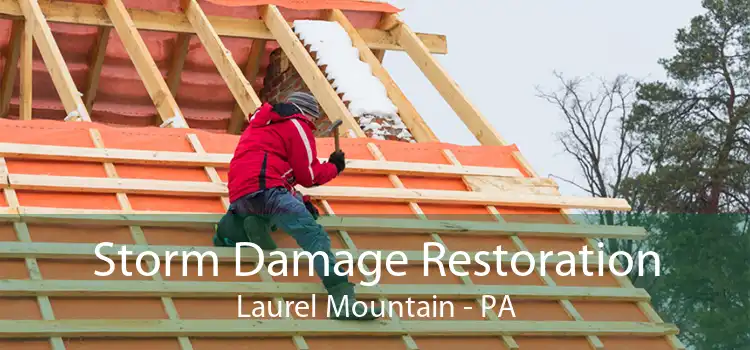 Storm Damage Restoration Laurel Mountain - PA