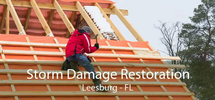 Storm Damage Restoration Leesburg - FL