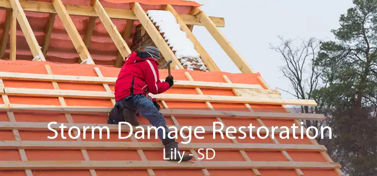 Storm Damage Restoration Lily - SD