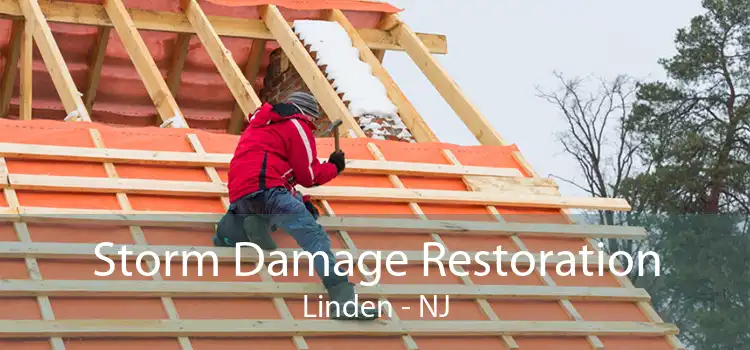 Storm Damage Restoration Linden - NJ