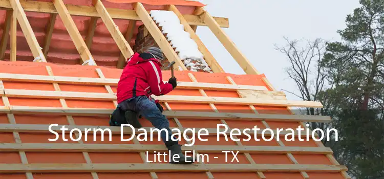 Storm Damage Restoration Little Elm - TX