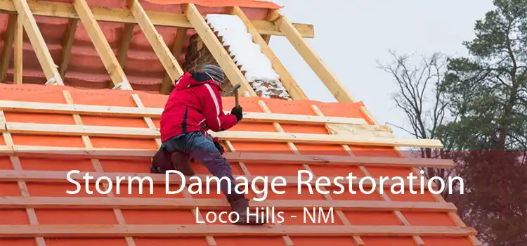 Storm Damage Restoration Loco Hills - NM