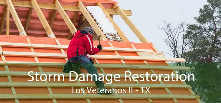 Storm Damage Restoration Los Veteranos II - TX