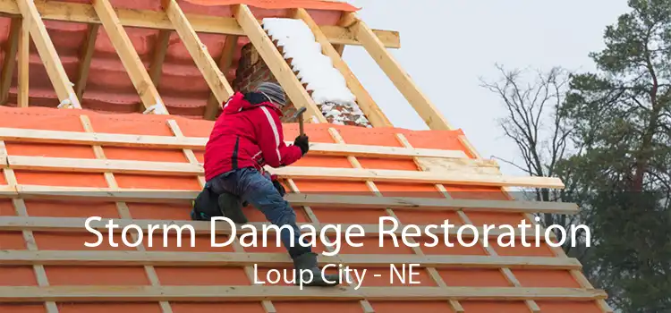 Storm Damage Restoration Loup City - NE