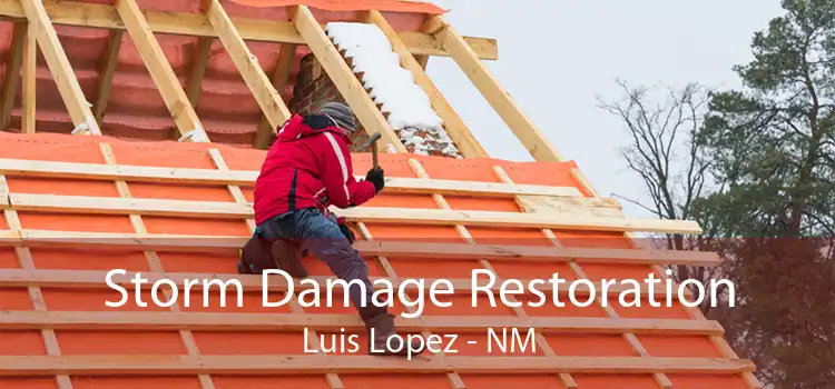 Storm Damage Restoration Luis Lopez - NM