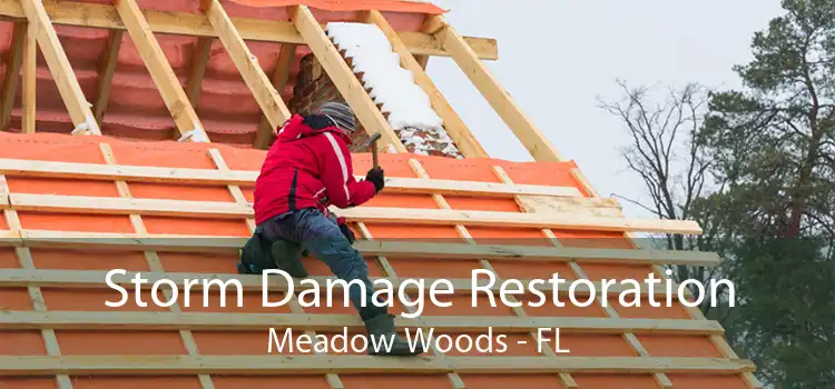 Storm Damage Restoration Meadow Woods - FL