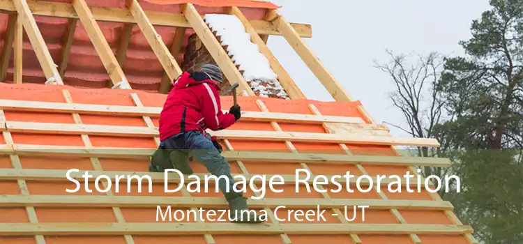 Storm Damage Restoration Montezuma Creek - UT