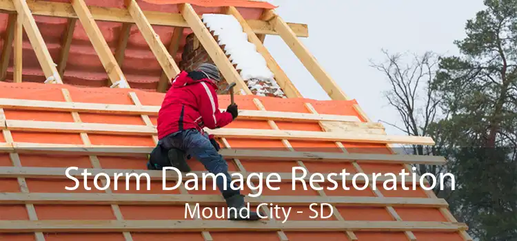 Storm Damage Restoration Mound City - SD