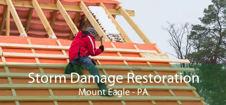 Storm Damage Restoration Mount Eagle - PA