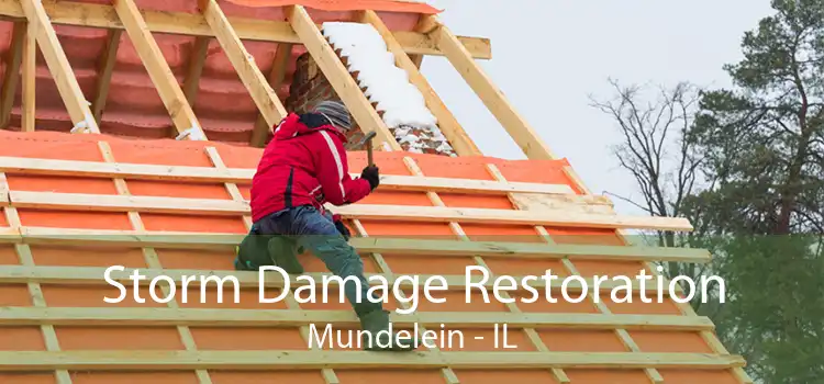 Storm Damage Restoration Mundelein - IL