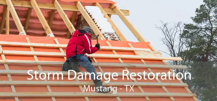 Storm Damage Restoration Mustang - TX