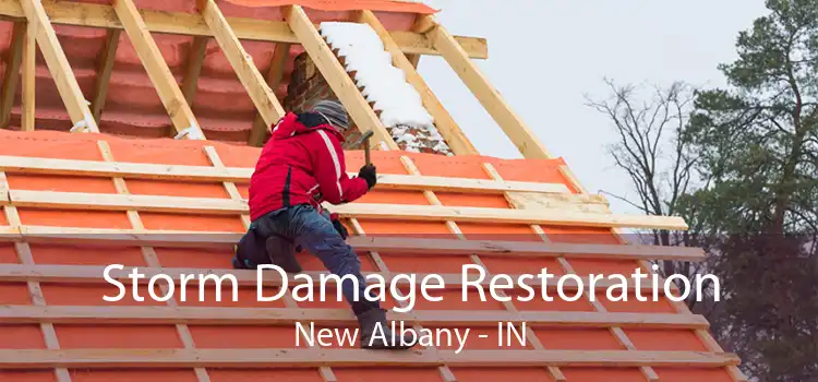 Storm Damage Restoration New Albany - IN