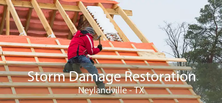 Storm Damage Restoration Neylandville - TX