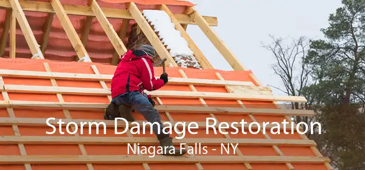 Storm Damage Restoration Niagara Falls - NY