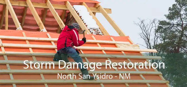 Storm Damage Restoration North San Ysidro - NM