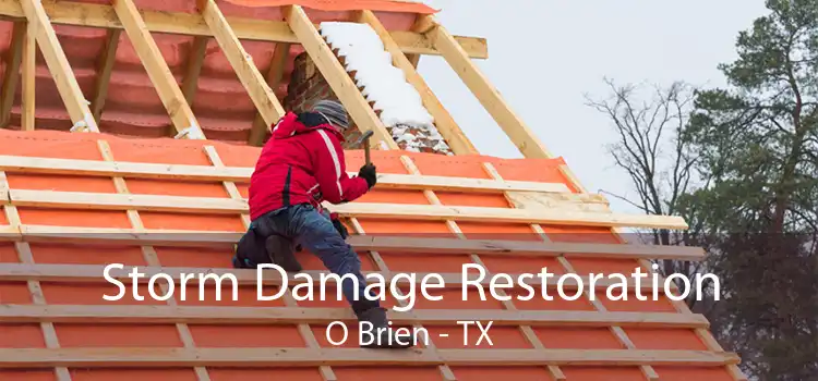 Storm Damage Restoration O Brien - TX