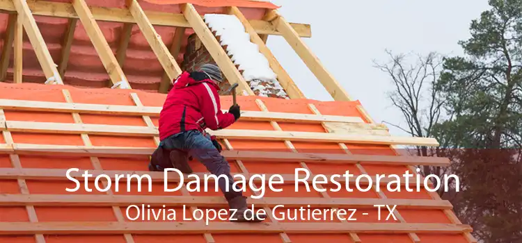 Storm Damage Restoration Olivia Lopez de Gutierrez - TX