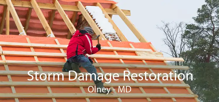 Storm Damage Restoration Olney - MD