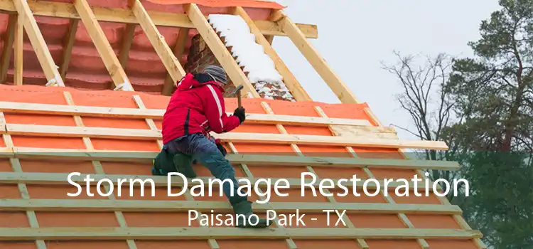 Storm Damage Restoration Paisano Park - TX