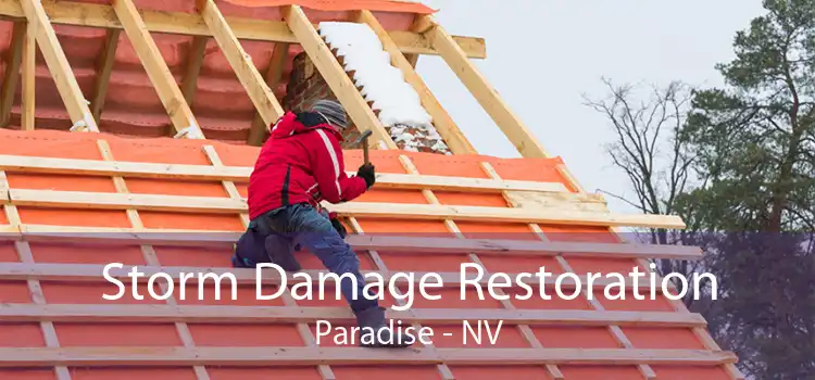 Storm Damage Restoration Paradise - NV