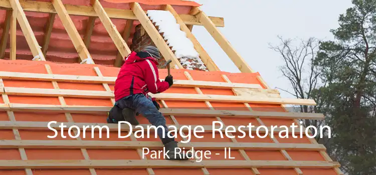 Storm Damage Restoration Park Ridge - IL