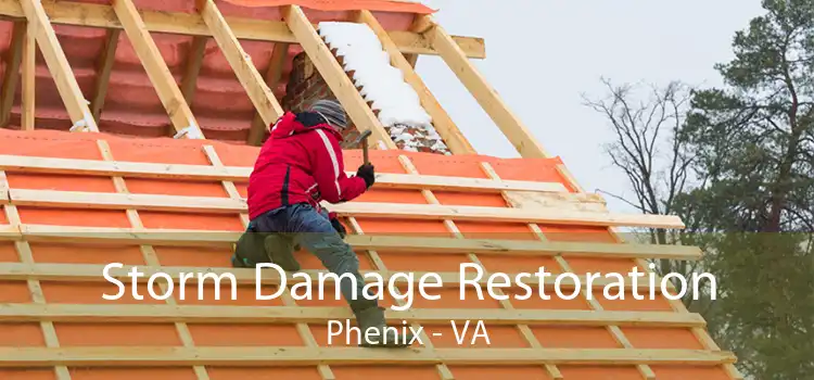 Storm Damage Restoration Phenix - VA