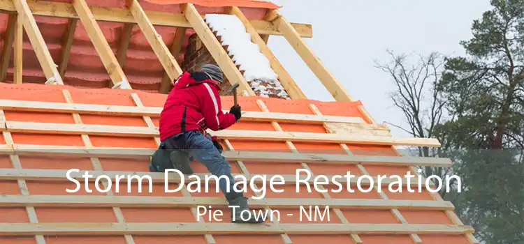 Storm Damage Restoration Pie Town - NM