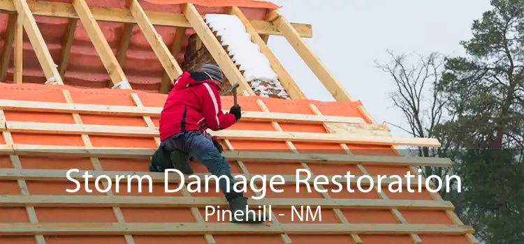 Storm Damage Restoration Pinehill - NM