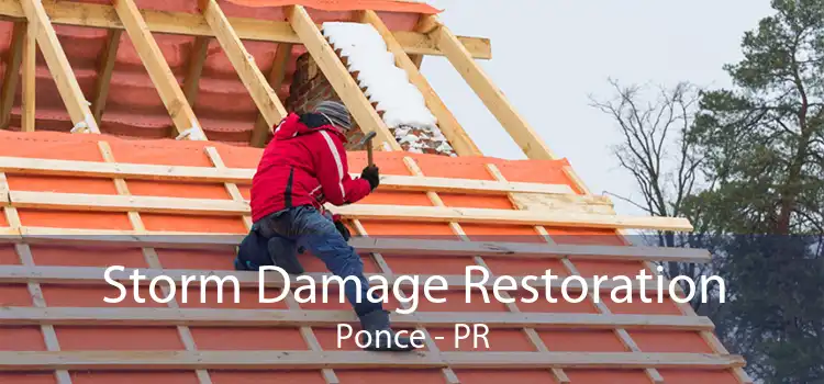 Storm Damage Restoration Ponce - PR