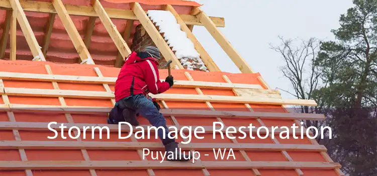 Storm Damage Restoration Puyallup - WA