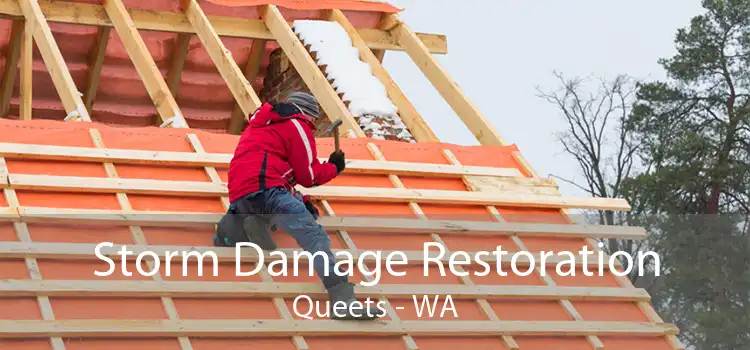 Storm Damage Restoration Queets - WA