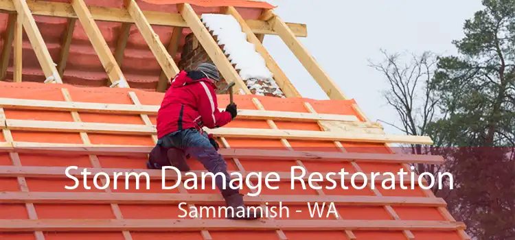 Storm Damage Restoration Sammamish - WA