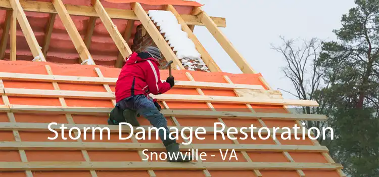 Storm Damage Restoration Snowville - VA