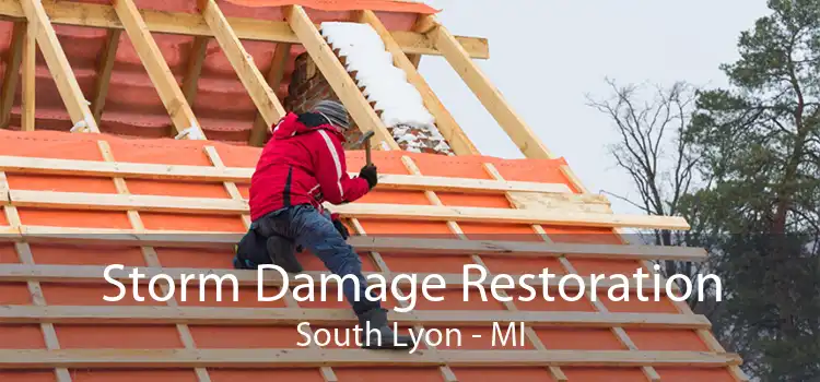 Storm Damage Restoration South Lyon - MI