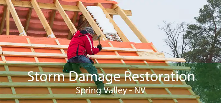 Storm Damage Restoration Spring Valley - NV