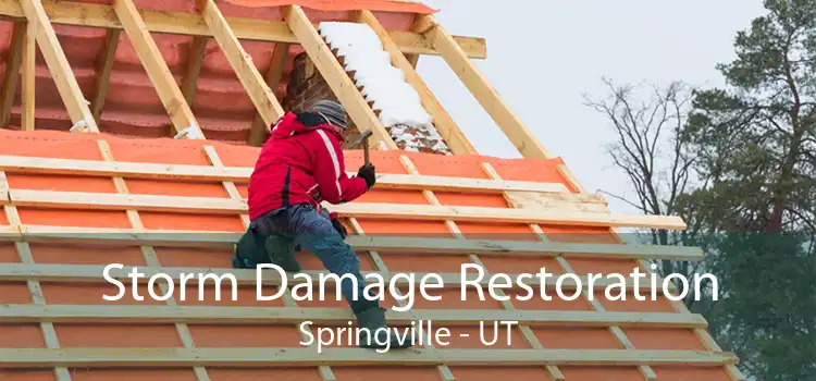 Storm Damage Restoration Springville - UT