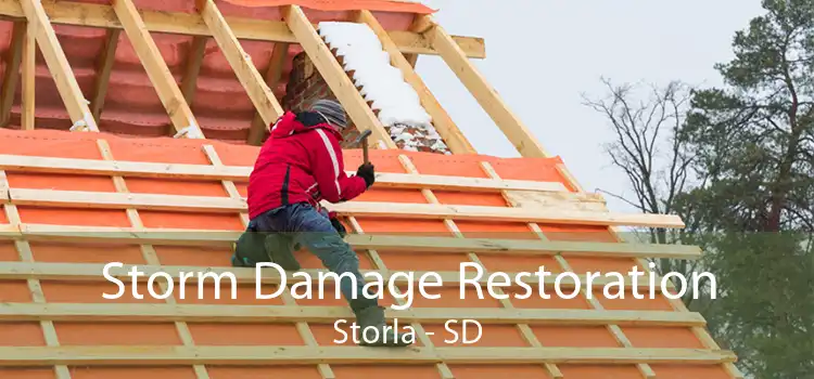 Storm Damage Restoration Storla - SD