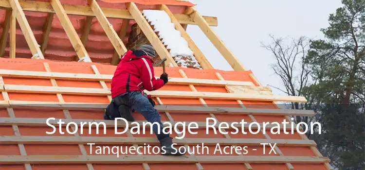 Storm Damage Restoration Tanquecitos South Acres - TX