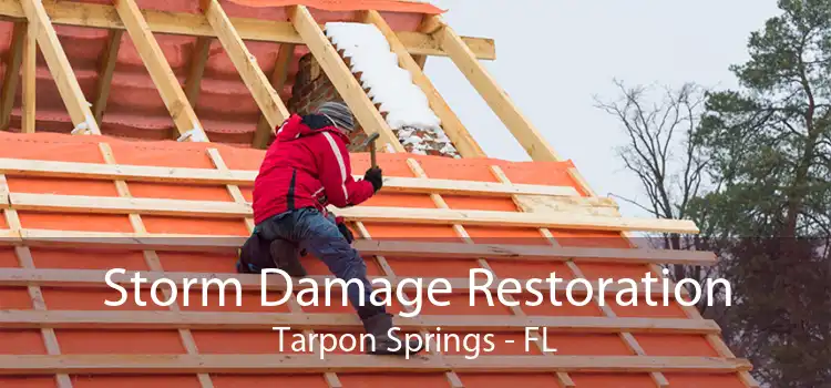 Storm Damage Restoration Tarpon Springs - FL