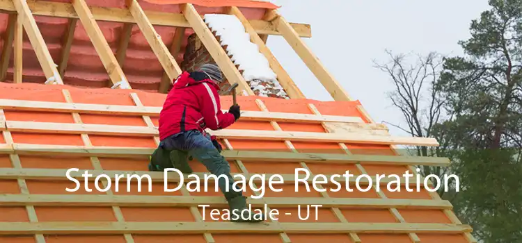 Storm Damage Restoration Teasdale - UT