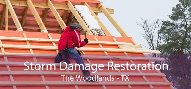 Storm Damage Restoration The Woodlands - TX