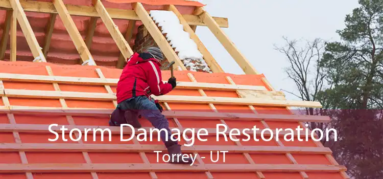 Storm Damage Restoration Torrey - UT