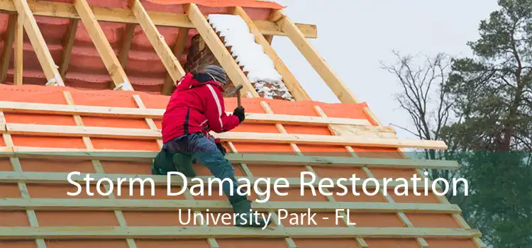 Storm Damage Restoration University Park - FL