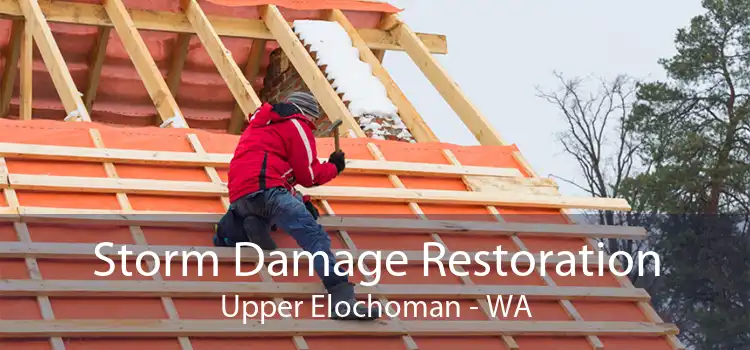 Storm Damage Restoration Upper Elochoman - WA