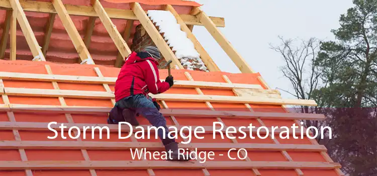 Storm Damage Restoration Wheat Ridge - CO