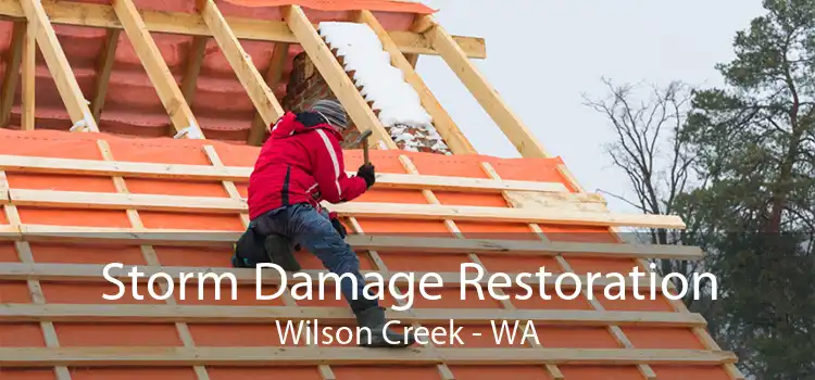 Storm Damage Restoration Wilson Creek - WA